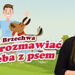 Jak rozmawiać trzeba z psem wiersz - odkryj jego głębokie przesłanie