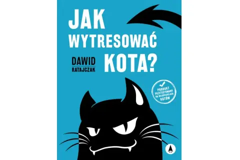Jak wytresować kota? Odkryj sekrety skutecznego szkolenia kota