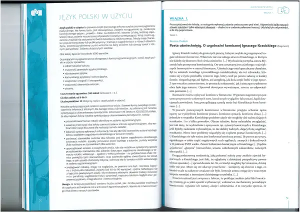 Motyw literacki inaczej - Odkryj synonimy i ich znaczenie w literaturze